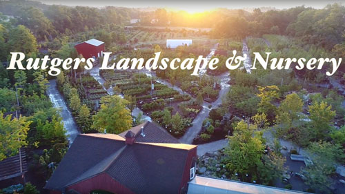Watch the Rutgers Landscape & Nursery Video